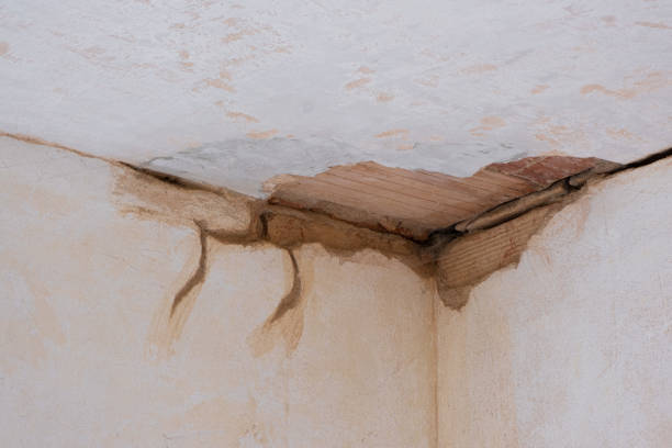 Best Sewage cleanup and water damage restoration  in Amarillo, TX