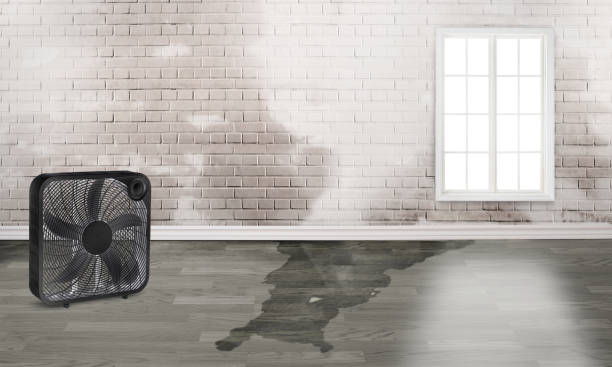 Trusted Amarillo, TX Water damage restoration Experts