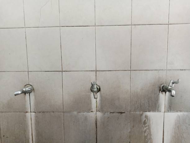 Best Flood damage cleanup  in Amarillo, TX