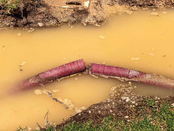 Best Basement water damage restoration  in Amarillo, TX