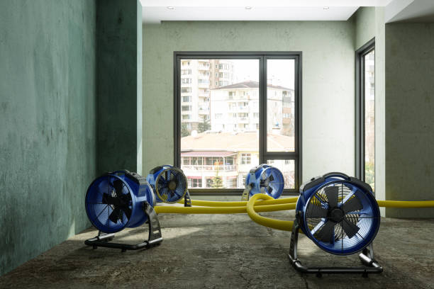 Best Water damage restoration near me  in Amarillo, TX